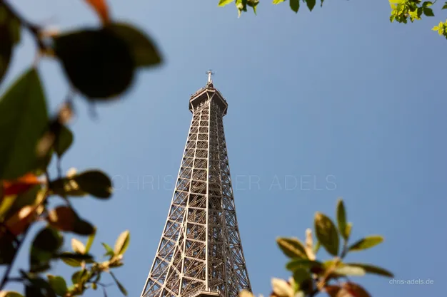 Blick durch Blätter auf den Eiffelturm